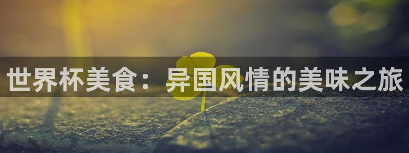世俱杯直播：世界杯美食：异国风情的美味之旅