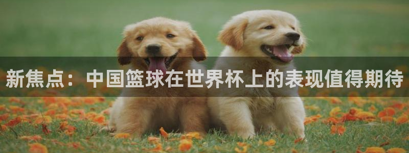世界杯球队排名：新焦点：中国篮球在世界杯上的表现值得期待