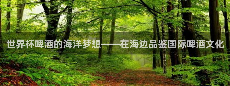 世界杯第一场比赛：世界杯啤酒的海洋梦想——在海边品鉴国际啤酒文化
