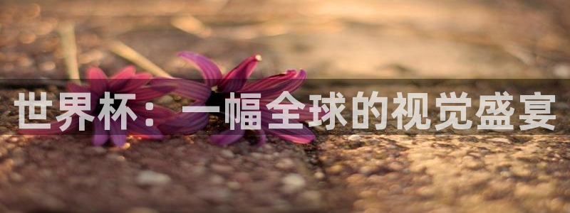 世界杯 直播：世界杯：一幅全球的视觉盛宴