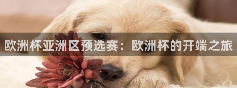 澳门世界杯直播：欧洲杯亚洲区预选赛：欧洲杯的开端之旅