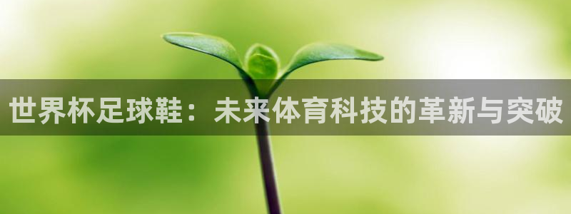 2026世界杯官网入口：世界杯足球鞋：未来体育科技的革新与突破