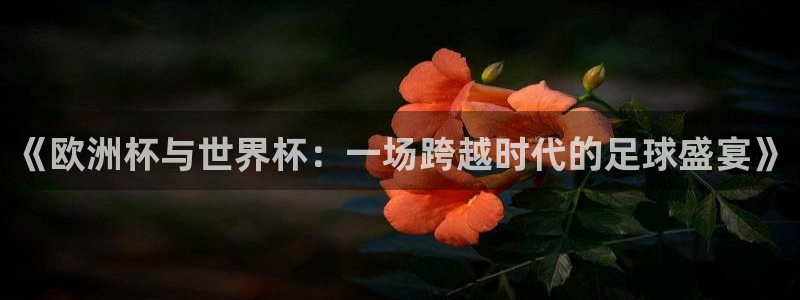 世界杯在线直播：《欧洲杯与世界杯：一场跨越时代的足球盛宴》