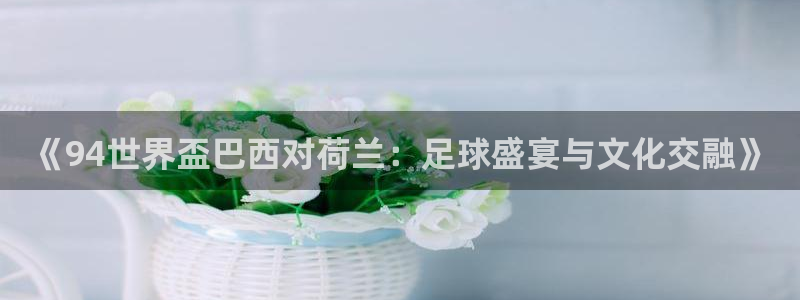 联赛杯直播：《94世界盃巴西对荷兰：足球盛宴与文化交融》