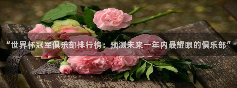 2026年世界杯时间表：“世界杯冠军俱乐部排行榜：预测未来一年内最耀眼的俱乐部”