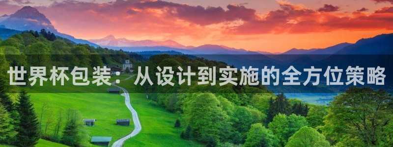 2026世界杯直播免费观看：世界杯包装：从设计到实施的全方位策略