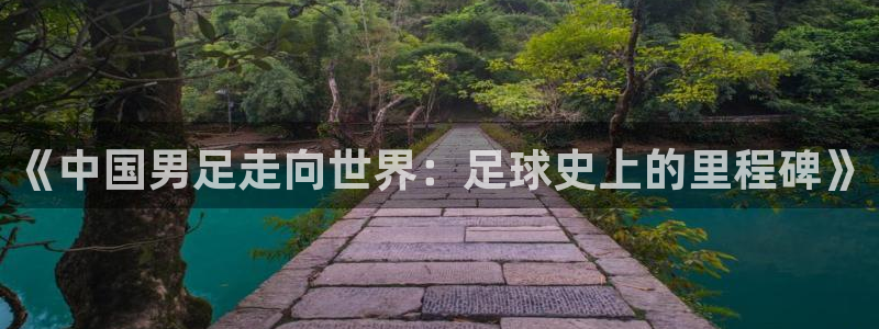 世界杯16强赛程表：《中国男足走向世界：足球史上的里程碑》