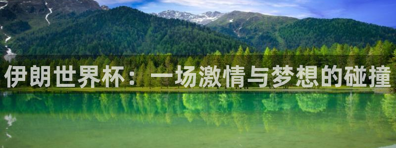 世界杯决赛预测：伊朗世界杯：一场激情与梦想的碰撞