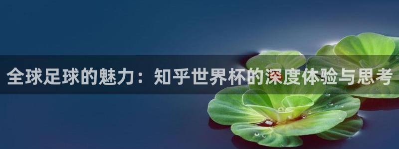 世界杯第一场比赛：全球足球的魅力：知乎世界杯的深度体验与思考