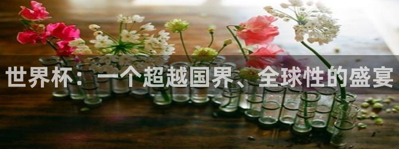 足球世界杯时间：世界杯：一个超越国界、全球性的盛宴
