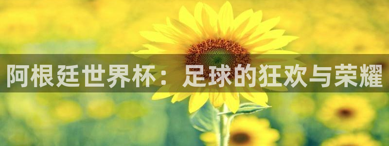 世界杯今日赛程直播：阿根廷世界杯：足球的狂欢与荣耀